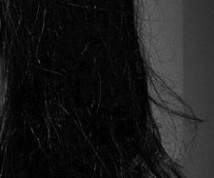 Donne Grasse  - deborca - punga.club