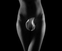 Sesso Anale - curiosonna - punga.club
