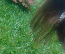 Masturbazione in Coppia  - feliciosa - punga.club