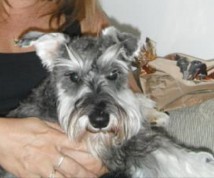 Altro - Lauranon - punga.club